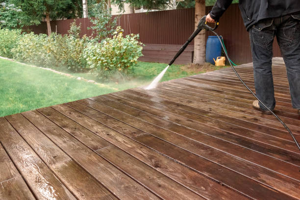 Best Driveway Pressure Washing  in Terra Alta, WV